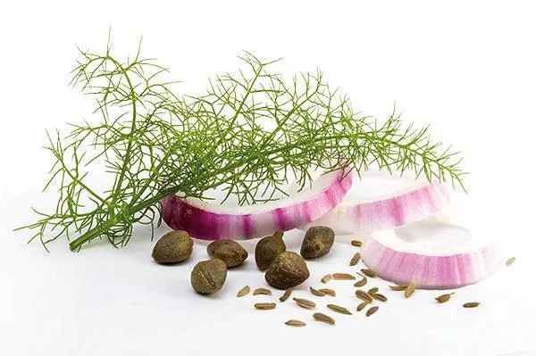 Salsa Biologica pronta di pomodoro ciliegino alla Palermitana, 330 grammi